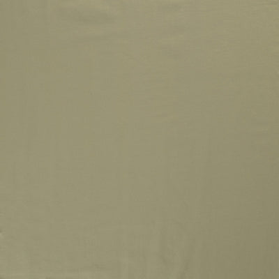 French Terry Olive Green