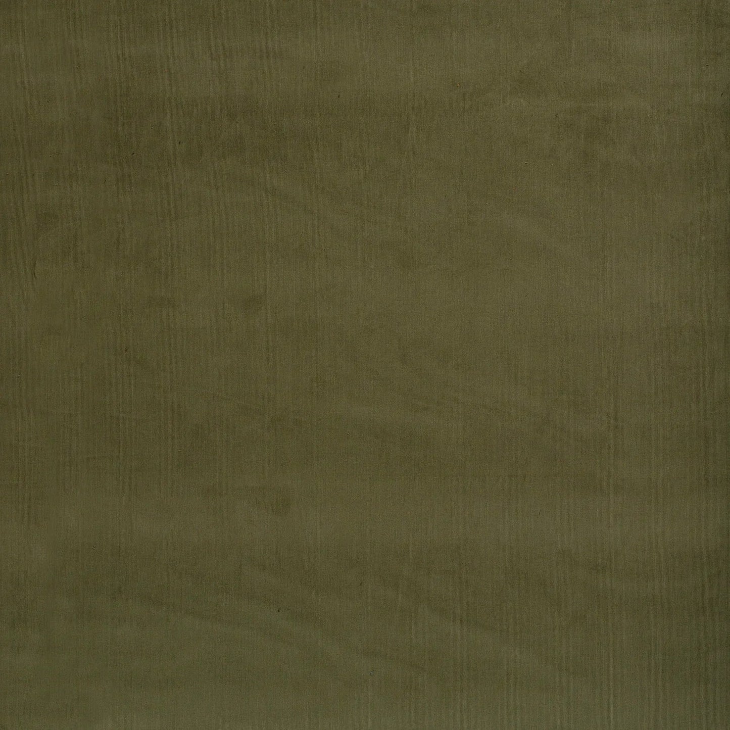 Babycord 21w Olive Green