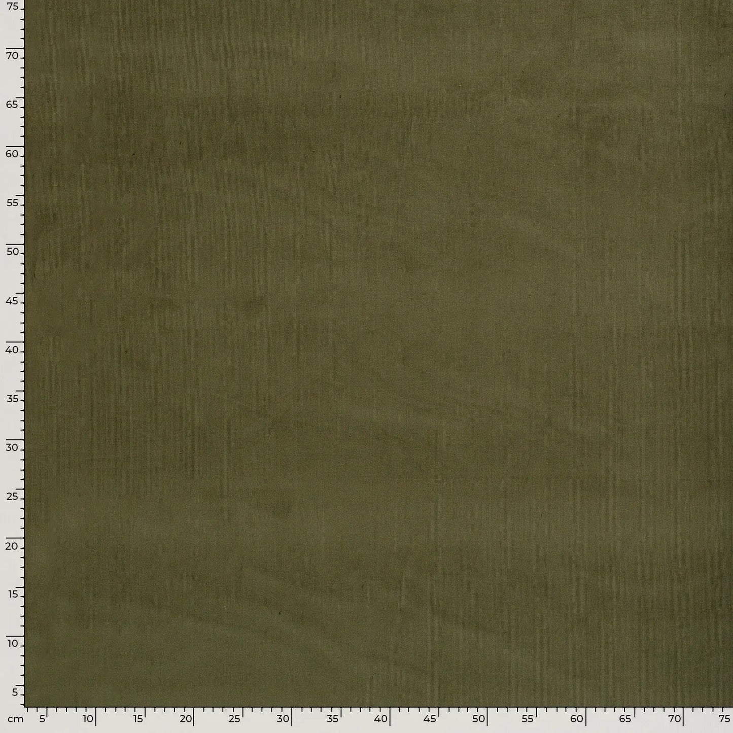 Babycord 21w Olive Green