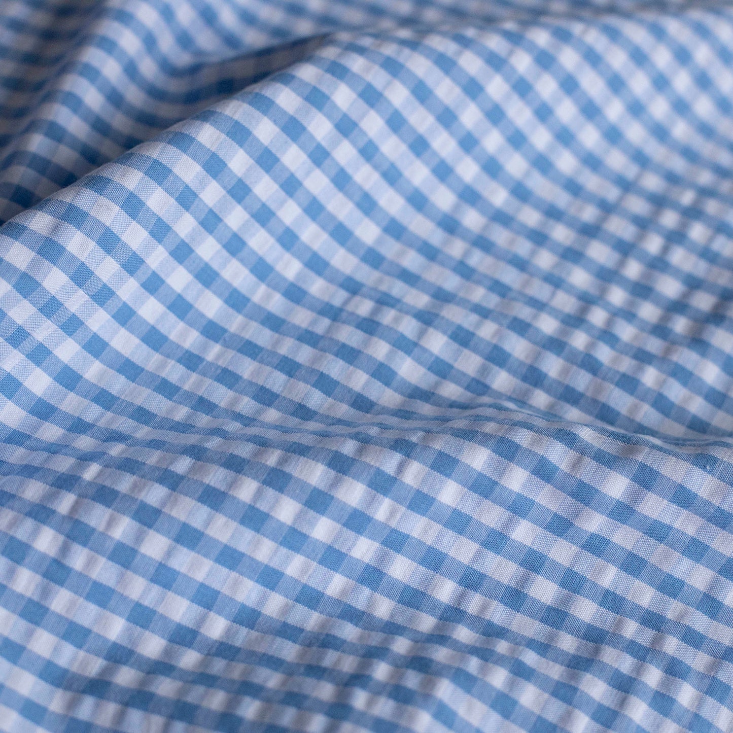 Seersucker Cotton Eli Off-White / Blue